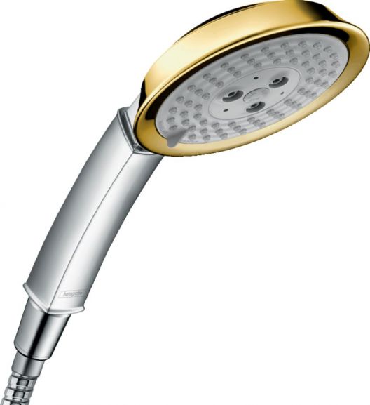 Душевая лейка Hansgrohe Raindance Classic 28548090