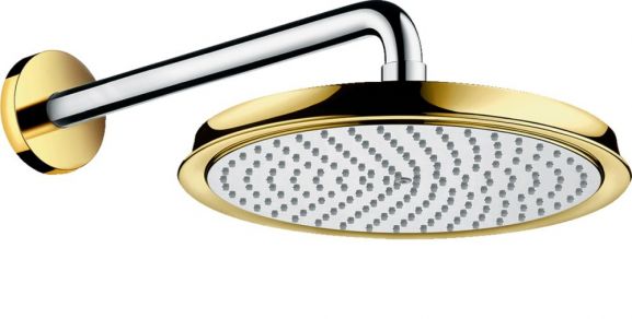 Верхний душ Hansgrohe Raindance Classic 27424090 настенный 1 режим